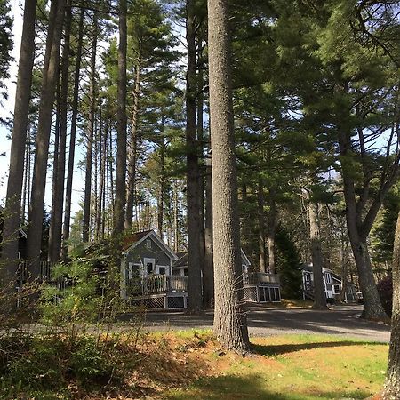 Pine Grove Cottages ลินคอล์นวิลล์ ภายนอก รูปภาพ