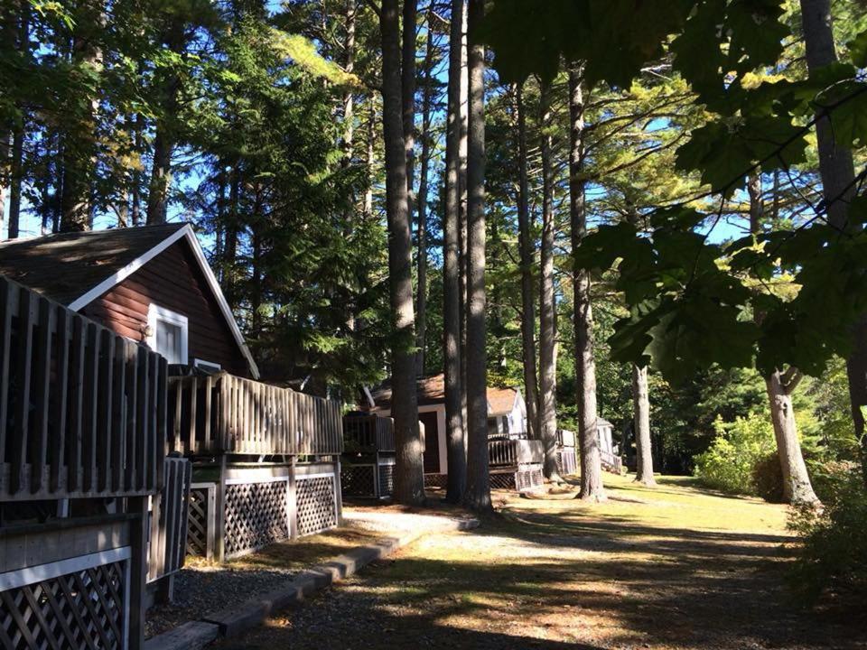 Pine Grove Cottages ลินคอล์นวิลล์ ภายนอก รูปภาพ