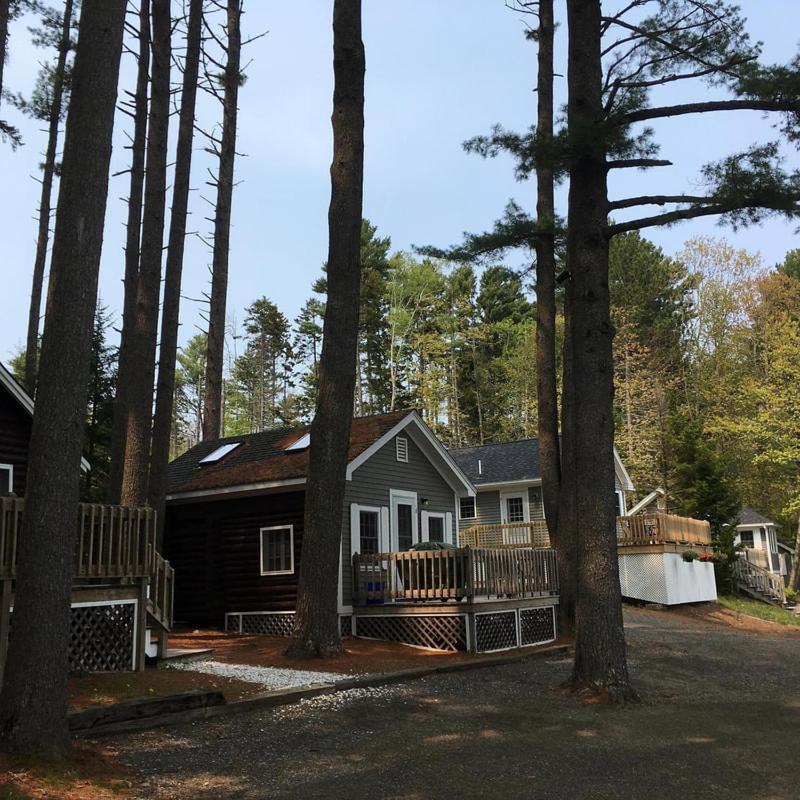 Pine Grove Cottages ลินคอล์นวิลล์ ภายนอก รูปภาพ