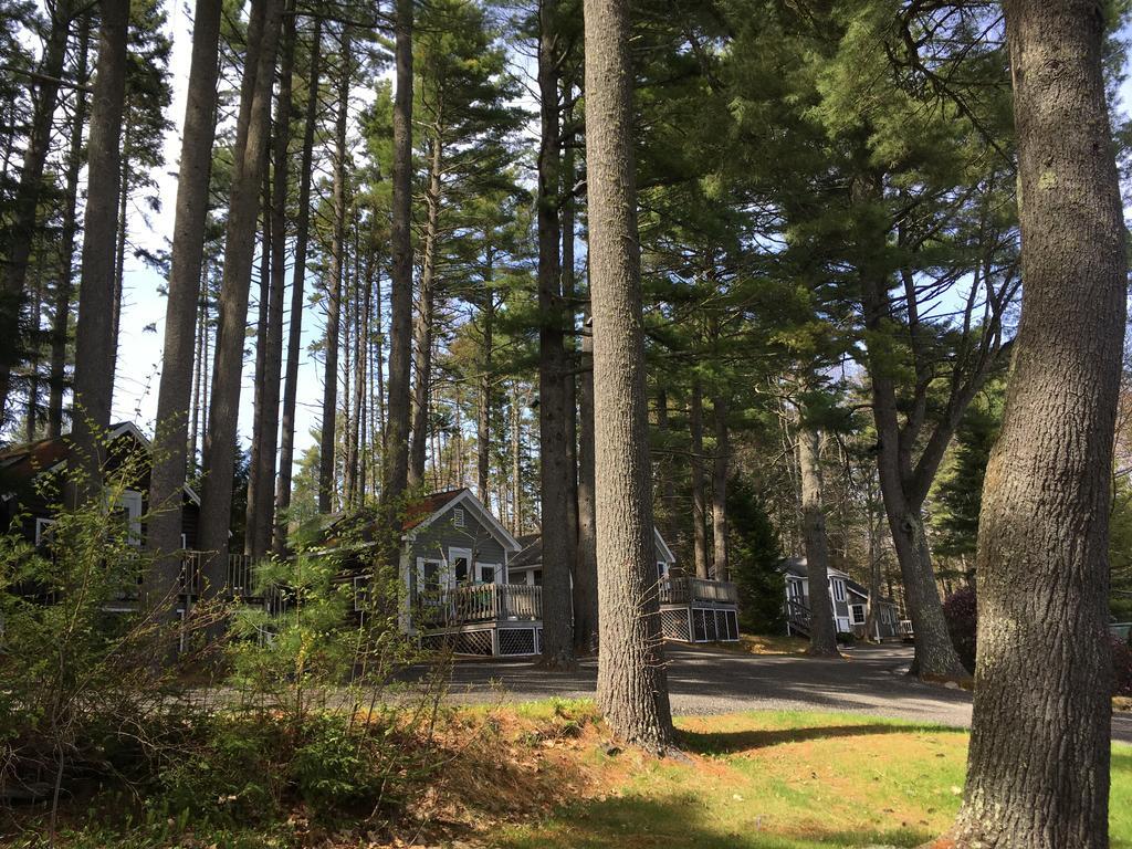 Pine Grove Cottages ลินคอล์นวิลล์ ภายนอก รูปภาพ